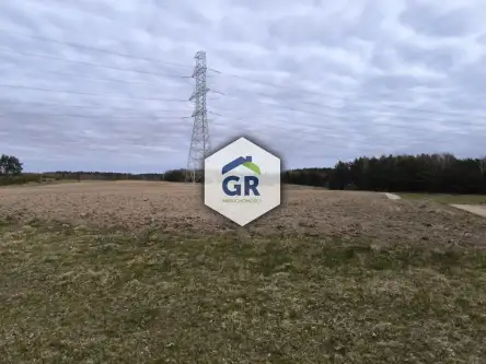 Skorzewo ,  Łubinowa   2