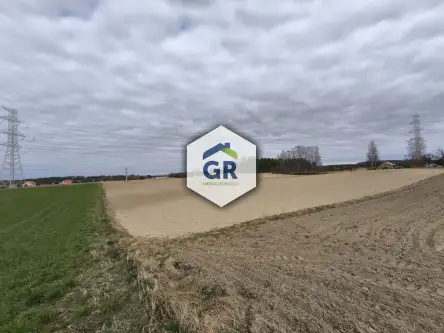 Skorzewo ,  Łubinowa   8