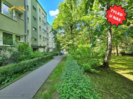 Kraków ,  Leonida Teligi   19