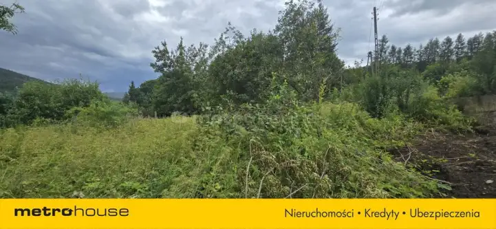 Marciszów ,  Sołecka   4