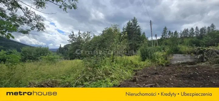 Marciszów ,  Sołecka   5