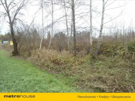 Kanie ,  Warszawska   3