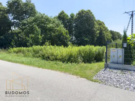 Biskupice radłowskie   10