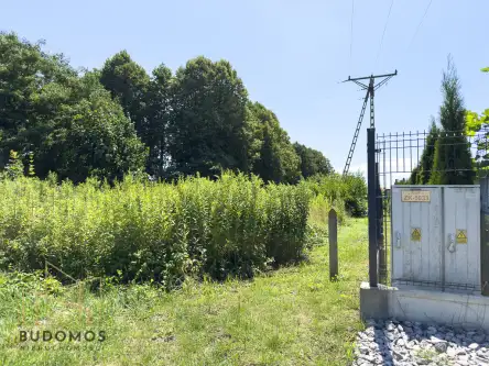 Biskupice radłowskie   9