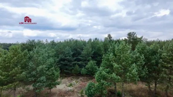 Wdzydze tucholskie   9