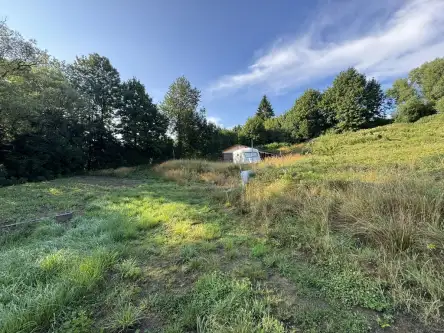 Szczytna ,  Wolności   2