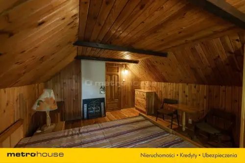 Borsuki-kolonia   15