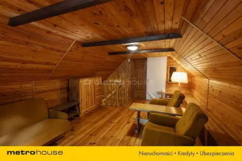 Borsuki-kolonia   17