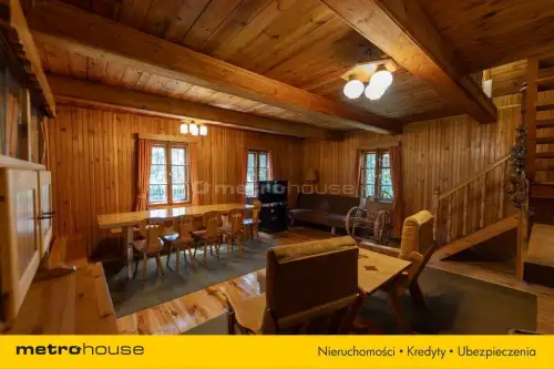 Borsuki-kolonia   12