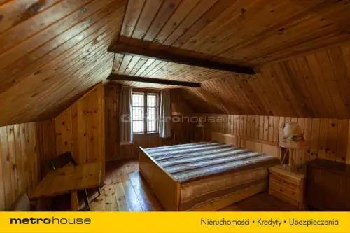 Borsuki-kolonia   14