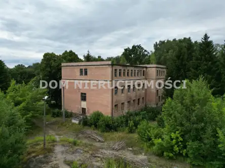 Orneta ,  Braniewska   10