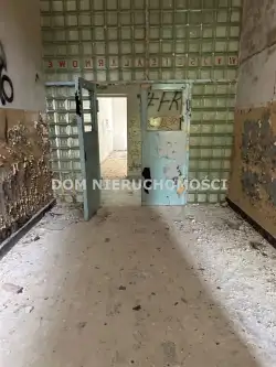 Orneta ,  Braniewska   17