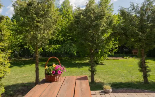 Ostromecko ,  Malinowa   4