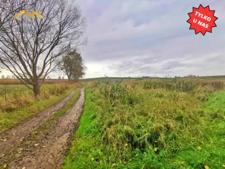 Kraków ,  Węgrzynowicka   5