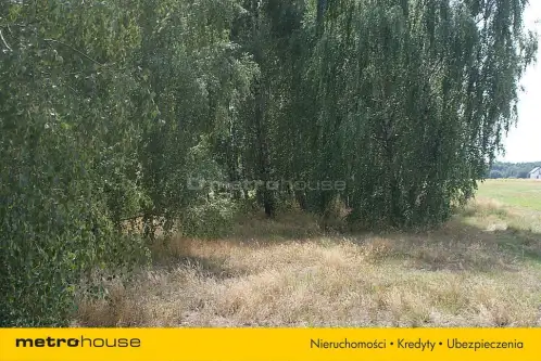 Jakubów ,  Dobra   5