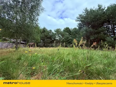  Przysieka   Piaskowa 