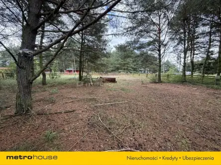 Przysieka ,  Piaskowa   5