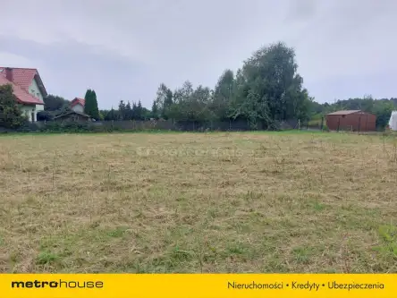 Oleśnica ,  Bogusławice   6