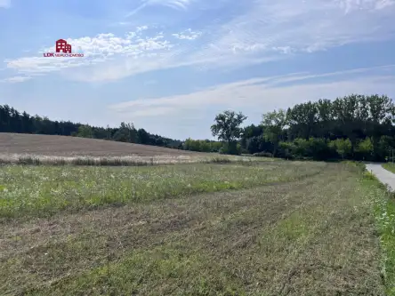 Przytok ,  Źródlana   10