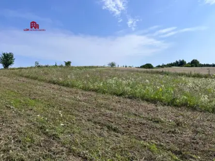 Przytok ,  Źródlana   12