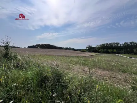 Przytok ,  Źródlana   17