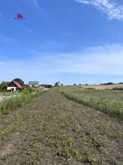 Przytok ,  Źródlana   7