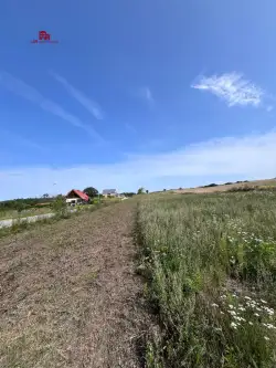 Przytok ,  Źródlana   8