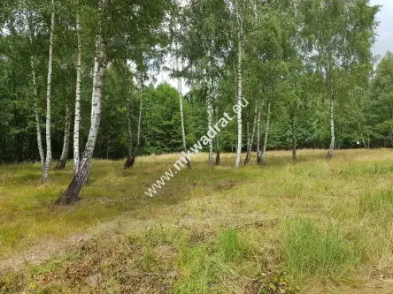  Budy-grzybek   www.mkwadrat.eu 