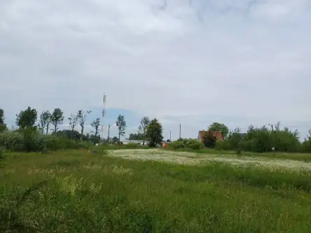 Malbork ,  Toruńska   10