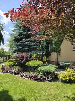  Nowy Sącz   Bohaterów Orła Białego 