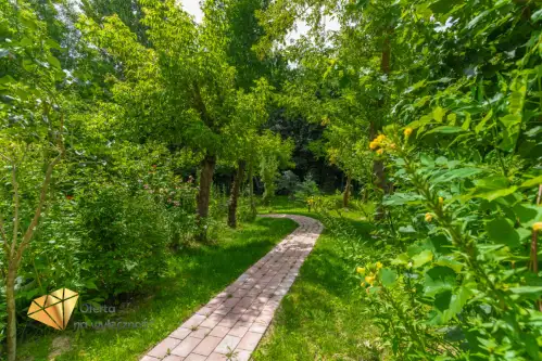 Chruszczów-kolonia   14