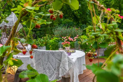 Chruszczów-kolonia   9