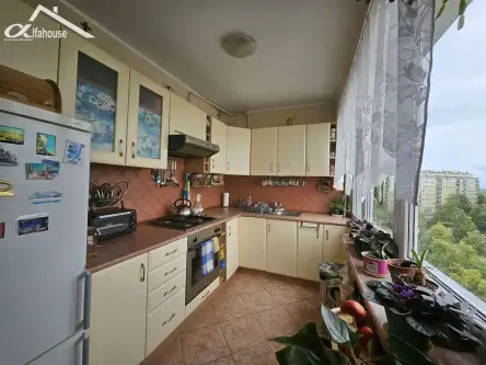 Lublin ,  Juranda   5