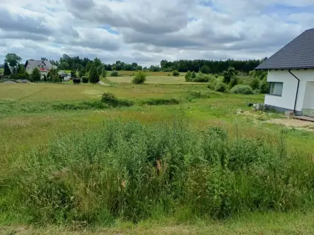 Kamela ,  Wiktorii   2