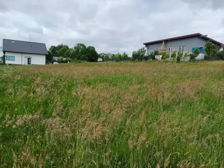 Kamela ,  Wiktorii   6