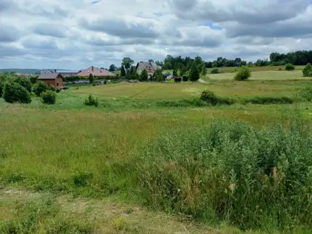 Kamela ,  Wiktorii   9