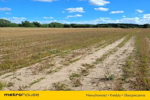 Dąbkowice dolne   3