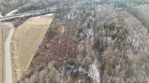 Góra kalwaria ,  Leśna   2