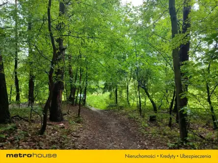 Przegędza ,  Piaskowa   2