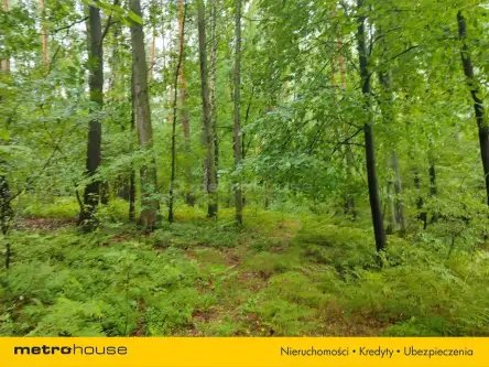 Przegędza ,  Piaskowa   3