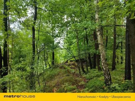 Przegędza ,  Piaskowa   5