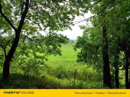 Przegędza ,  Piaskowa   6