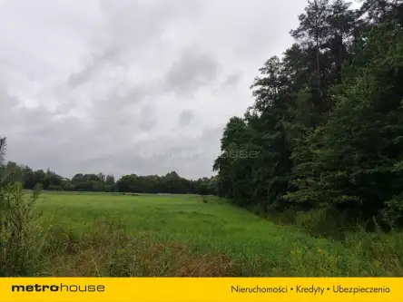 Przegędza ,  Piaskowa   8