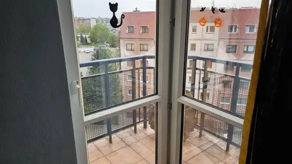 Wrocław ,  Jana Władysława Dawida   10