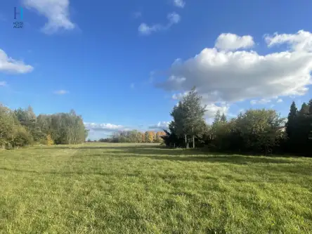 Będzelin ,  Leśna   6