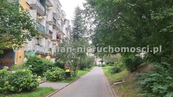 Lublin ,  Balladyny   13