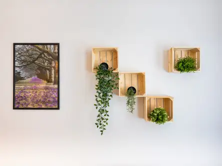 Szczecin ,  Mazurska   4