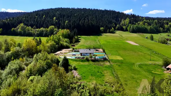 Królowa górna   11