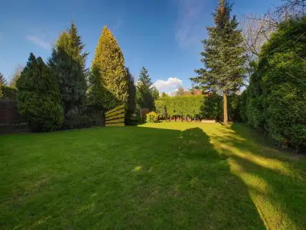 Konstancin-jeziorna ,  Willowa   19