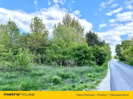 Łódź ,  Moskule   6